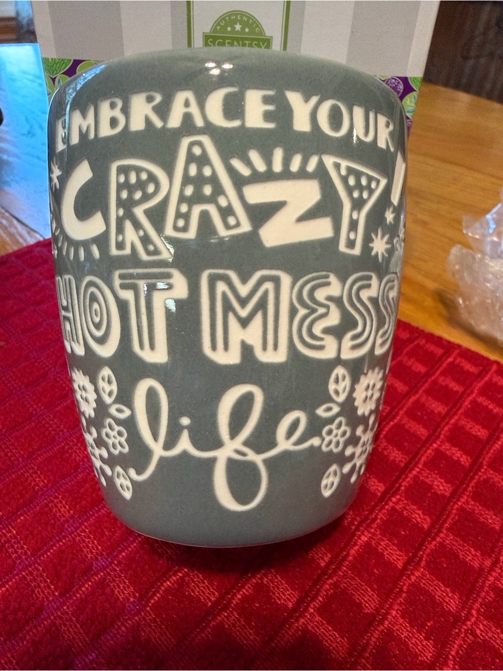 Scentsy Plug-In Warmer Crazy Hot Mess , Blue Pattern